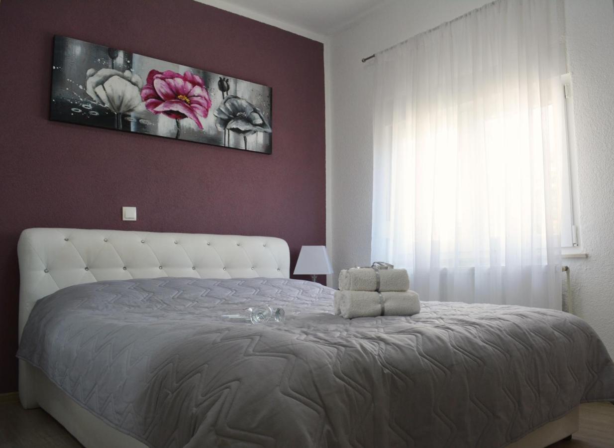 Apartment Curic *